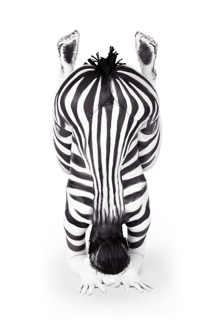 Una zebra. - (Emma Fay, Olycom)