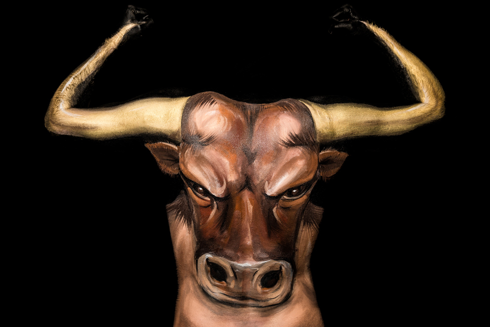 Un toro. - (Emma Fay, Olycom)