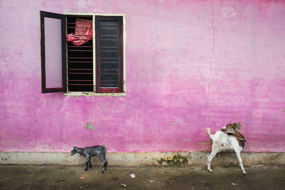 La via delle spezie. - (Alex Webb, Magnum photos)