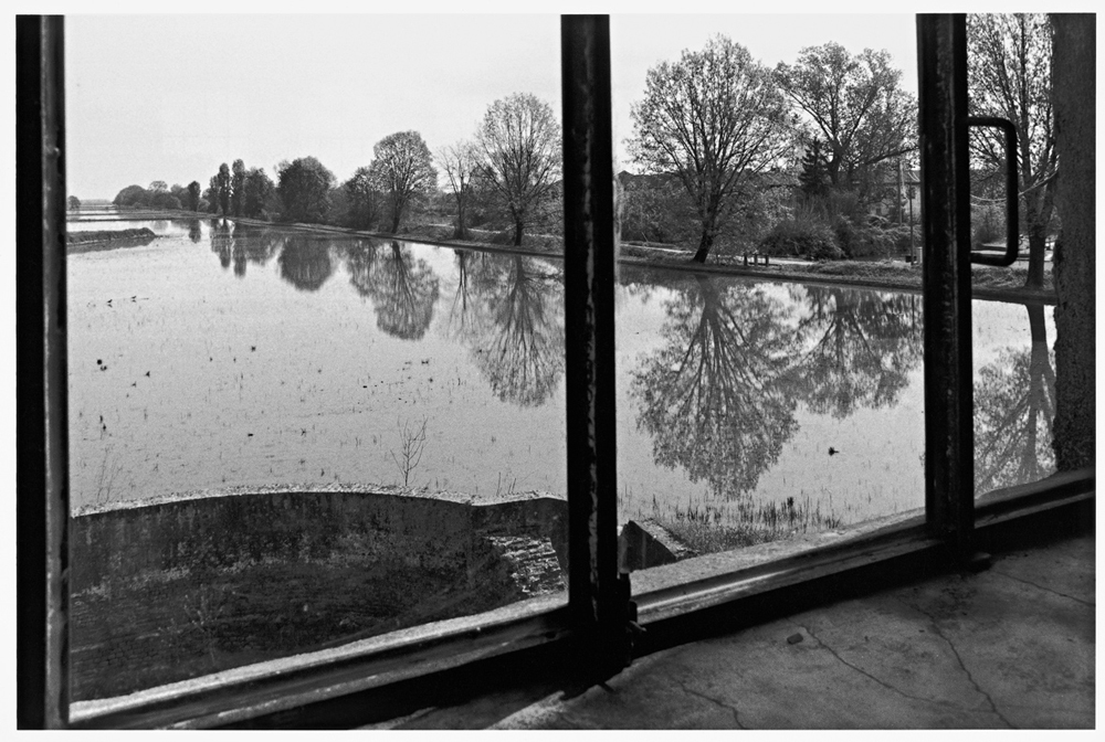 Paesaggi di riso. - (Gianni Berengo Gardin, Contrasto)