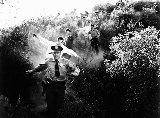 L’invasione degli ultracorpi, Don Siegel, 1956. - Everett/Contrasto