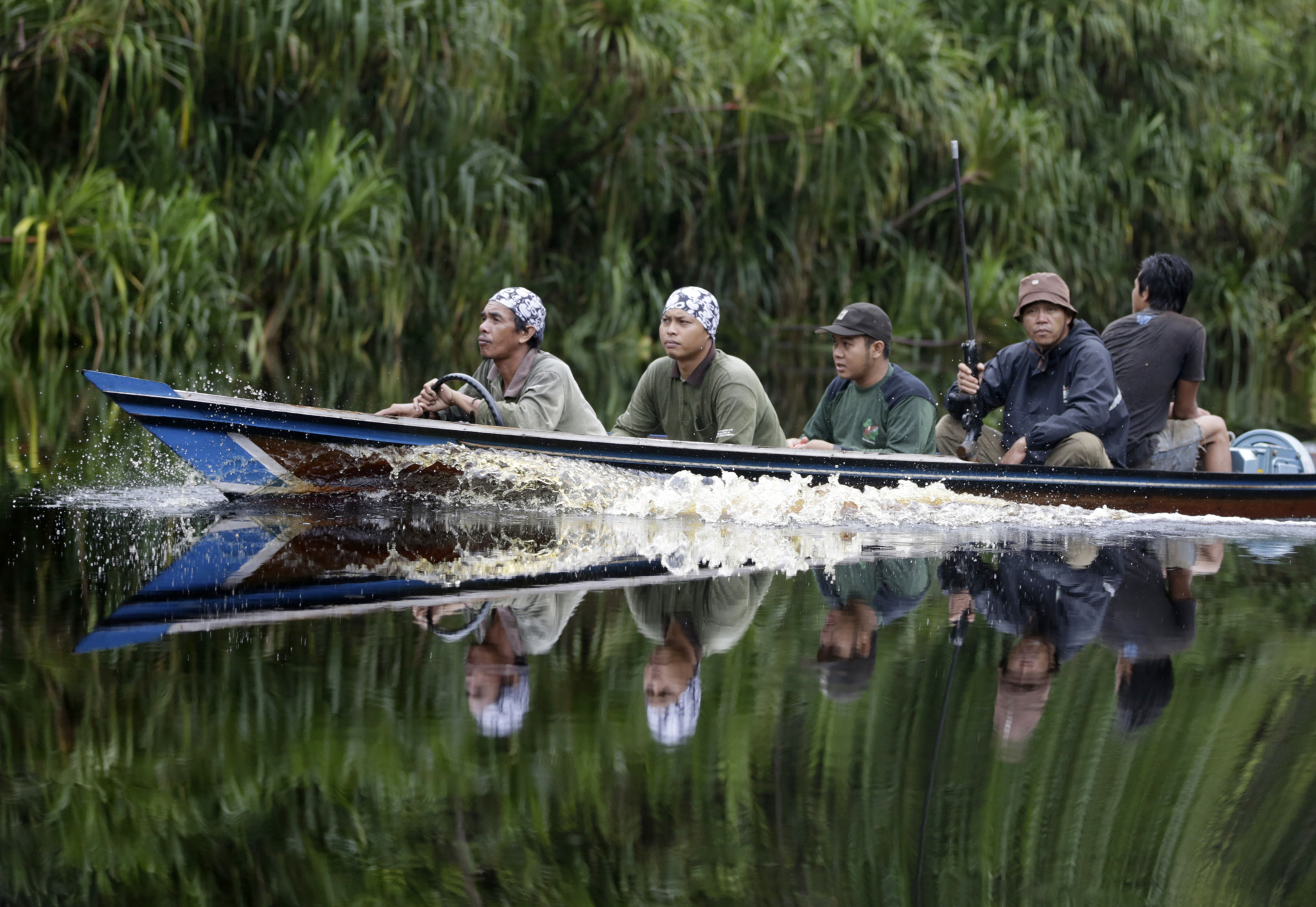 Ambientalisti cercano oranghi da salvare nella giungla, nel Borneo indonesiano, il 6 gennaio 2016. - (Dita Alangkara, Ap/Ansa)