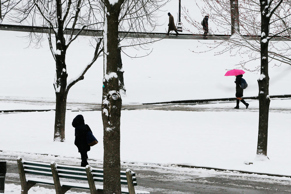 Neve di primavera Internazionale