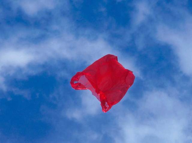 Patriot, 2012. - Dennis Adamas, (Cnpa/Per gentile concessione di Galerie Gabrielle Maubrie