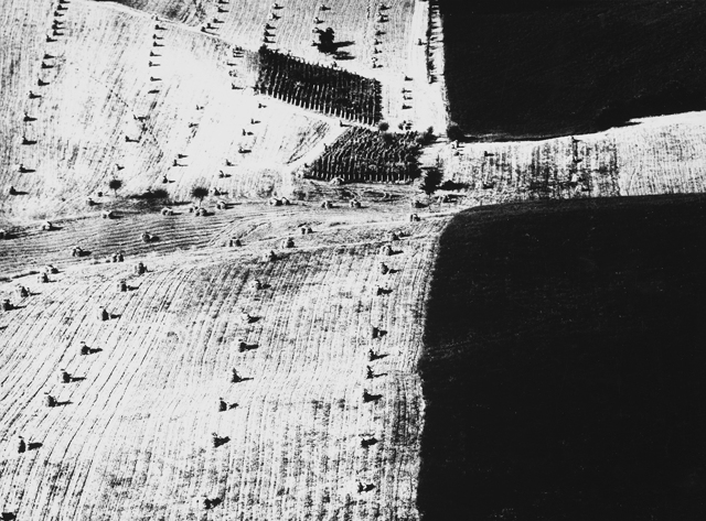 Le terre scritte da Mario Giacomelli