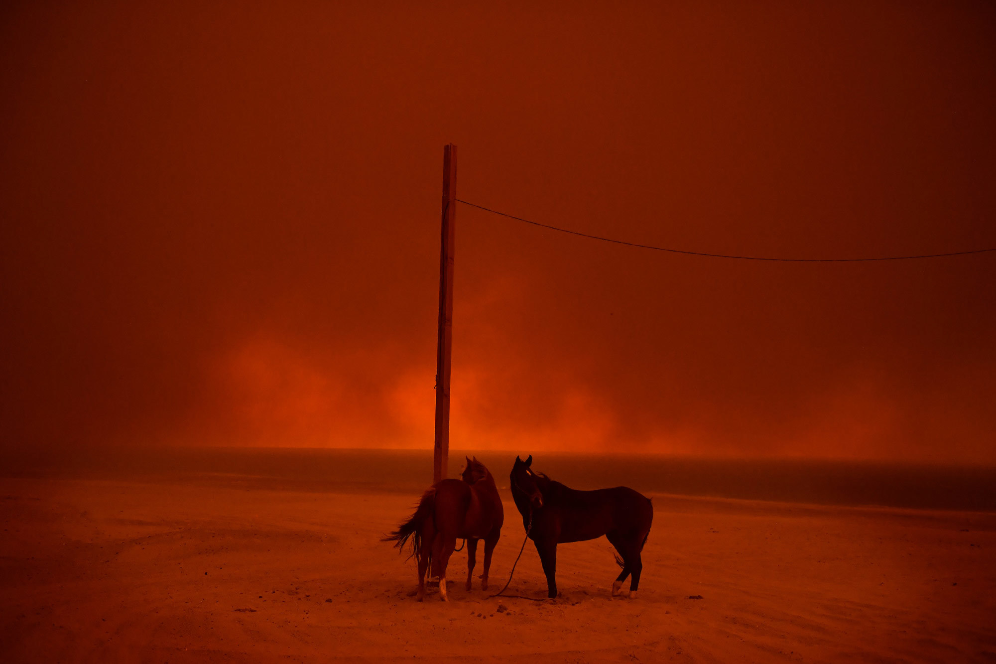 Ambiente, singole. Durante un incendio a Malibu, in California. - (Wally Skalij per il Los Angeles Times)