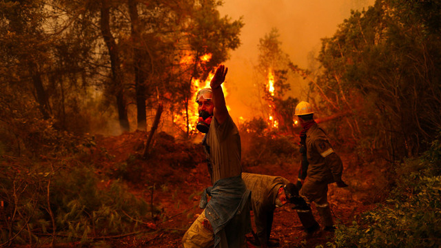 Le fiamme che divampano tra incuria e riscaldamento globale - Vimarsana News