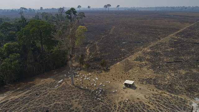 I danni all’ambiente provocano nuove malattie tra gli esseri umani I danni all’ambiente provocano nuove malattie tra gli esseri umani