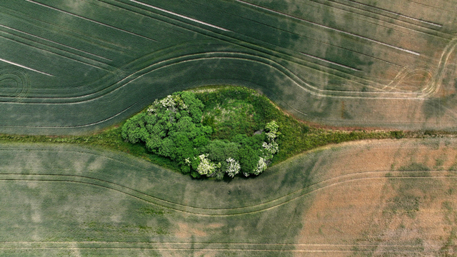 L’agricoltura sfida la crisi climatica: la settimana in Europa