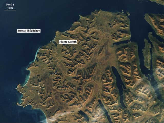 L’isola Kodiak, in Alaska Internazionale