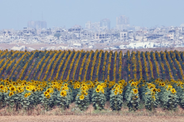 Israele assume il controllo di una zona cuscinetto al confine tra la Striscia di Gaza e l’Egitto