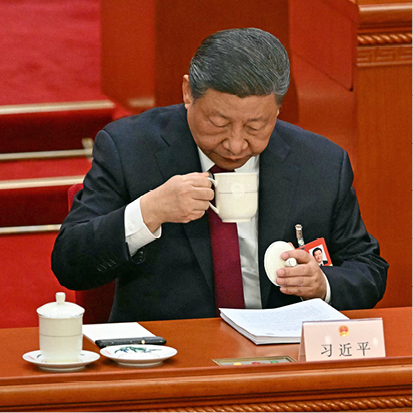 se sparisce xi jinping
