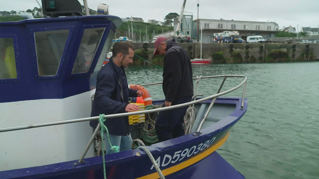pescatori e scienziati insieme per proteggere il mare