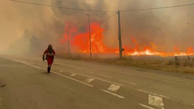https://media.internazionale.it/images/2025/08/12/302348-sd.jpeg