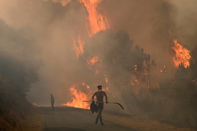 gli incendi hanno distrutto un milione di ettari di vegetazione nell8217unione europea
