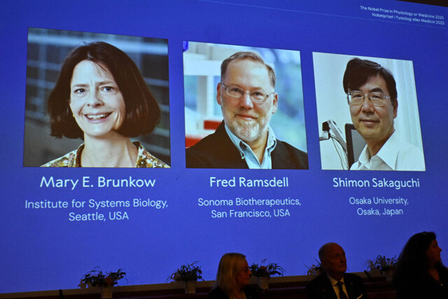 Il Nobel per la medicina assegnato a Mary E. Brunkow, Fred Ramsdell e Shimon Sakaguchi