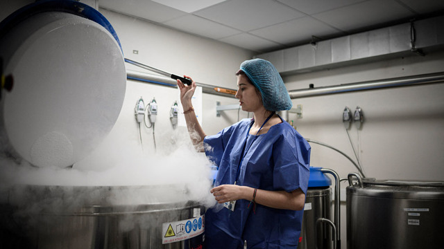 In Italia conservare gli ovuli è un privilegio per poche In Italia conservare gli ovuli è un privilegio per poche