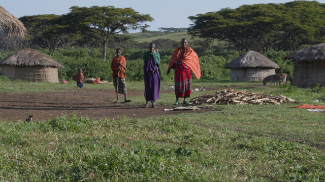 in tanzania i safari e la caccia sportiva minacciano i masai