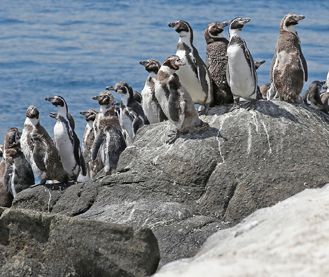 un altro tifone nelle filippine