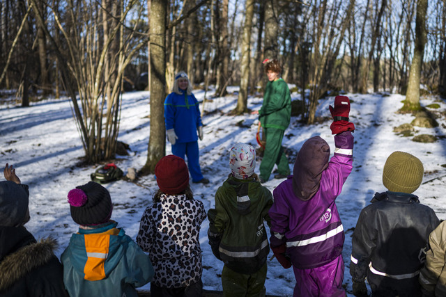 Il bello e il brutto delle scuole nel bosco Il bello e il brutto delle scuole nel bosco