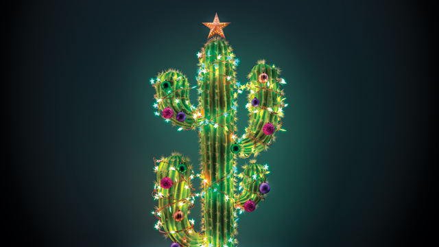 Film, libri e canzoni: il meglio dell’anno Film, libri e canzoni: il meglio dell’anno