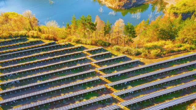 le notizie di scienza del 2025 secondo science da Internazionale.it le notizie di scienza del 2025 secondo science