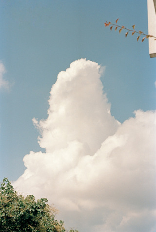 354042-ld.jpg