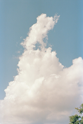354043-ld.jpg