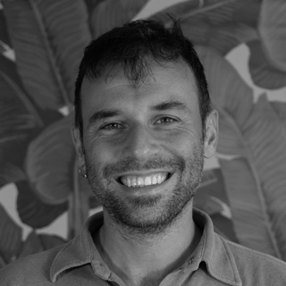 Dario Falcini