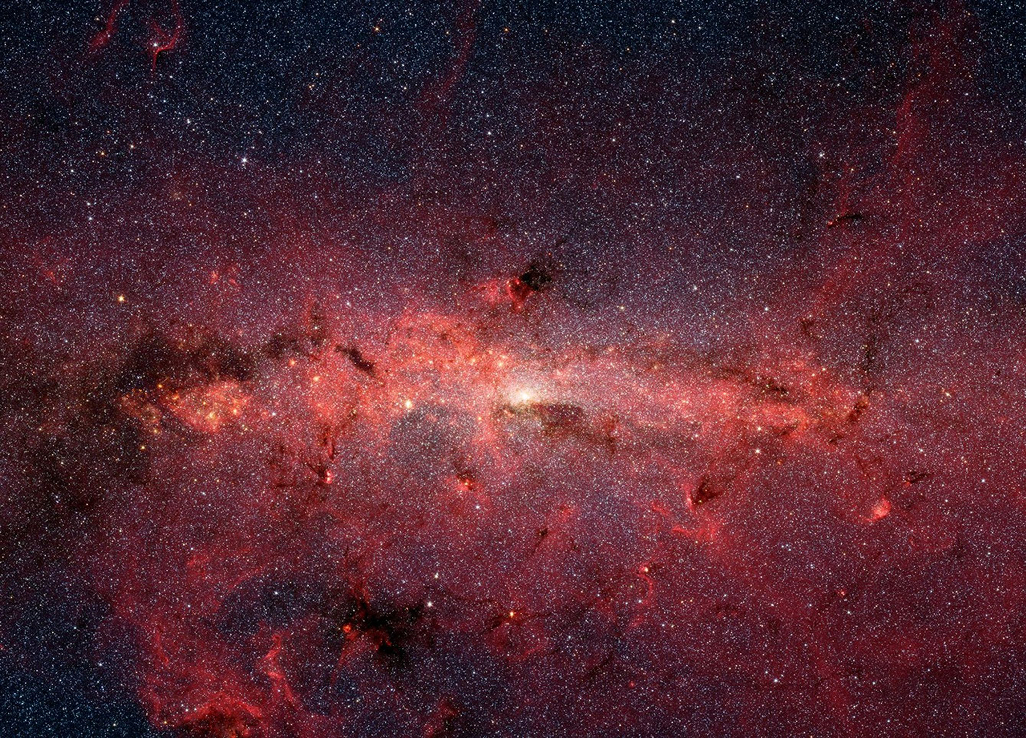 le notizie di scienza della settimana da Internazionale.it le notizie di scienza della settimana