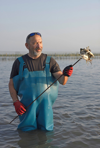 357555-ld.jpg