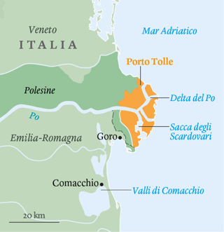 357556-ld.jpg