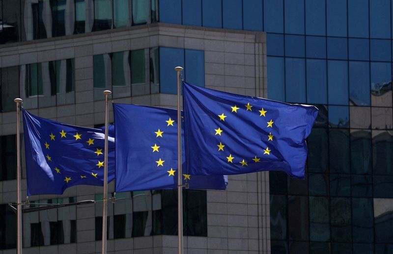 EU’s Kallas says Red Sea mission needs more than 10 warships